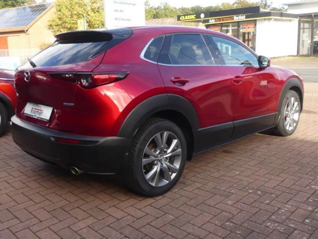 Mazda CX-30 2,0i Cosmo HeadUp Sitzhzg Lenkrdhzg Kamera Navi