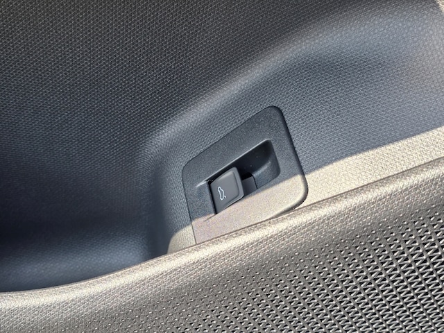 Cupra Terramar 2.0 TSI