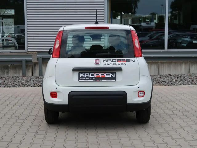 Fiat Panda Pandina 1,0 GSE Klimaanlage PDC M+S