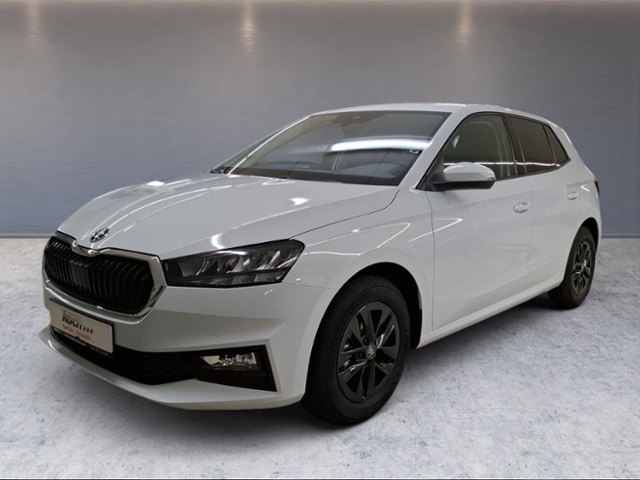 Skoda Fabia 1,0 LED PDC SHZ ALU RFK SMART-L