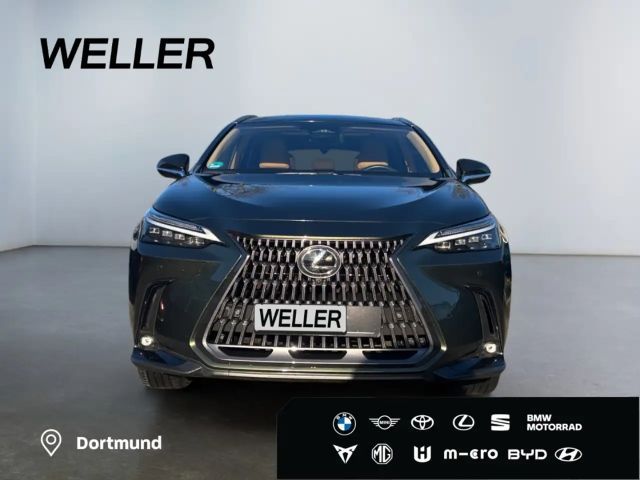 Lexus NX Luxury Line