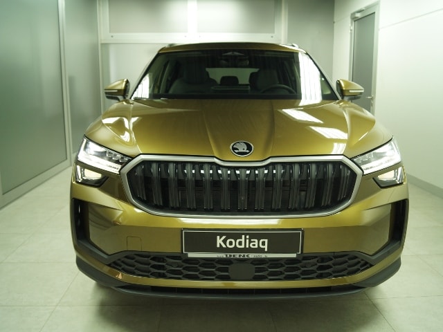 Skoda Kodiaq 2.0 TDI 4x4