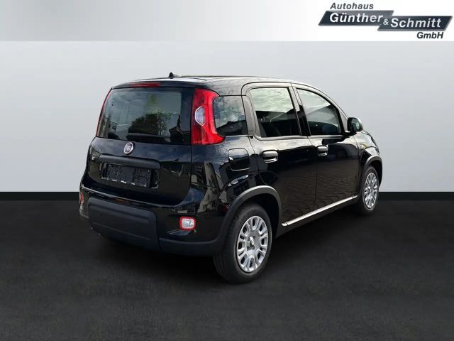 Fiat Panda 1.0 Pandina