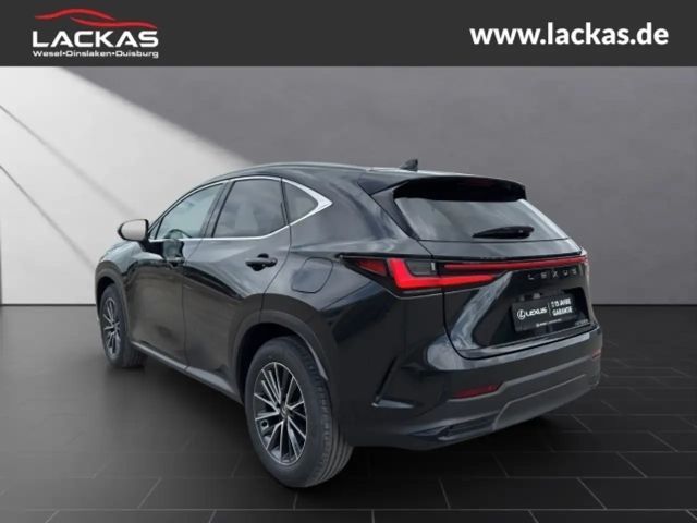 Lexus NX h BUSINESS*CONNECT-MY25* MEMORY*360KAM*GARANTIE