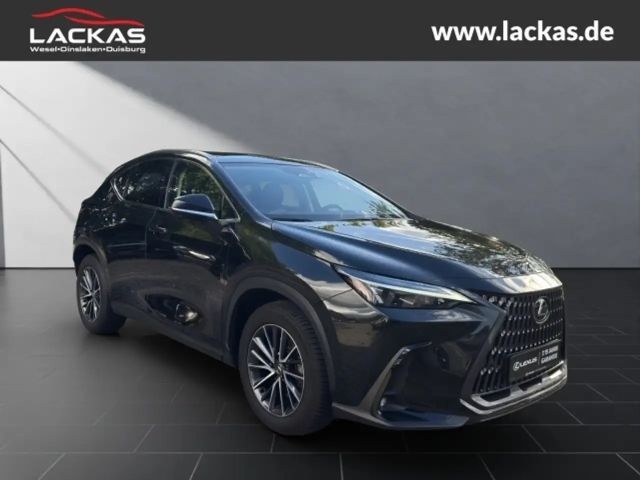 Lexus NX Executive Line