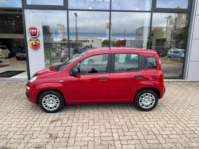 Fiat Panda 1.0 Hybrid+Komfortpaket+5Sitz+Parksensoren