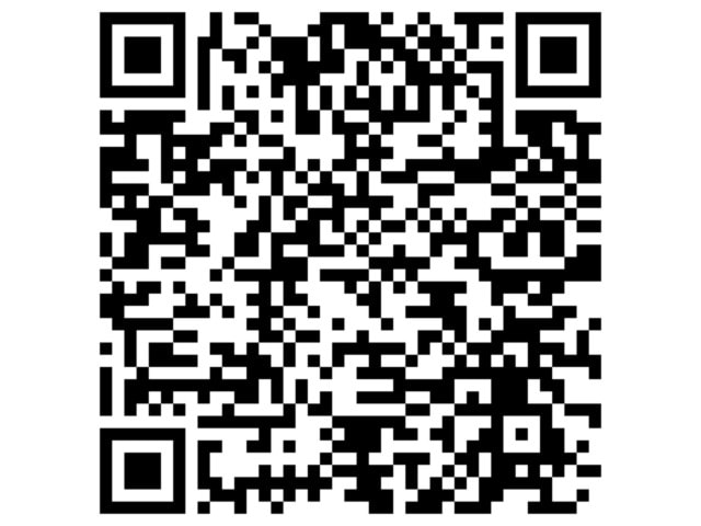 Volkswagen ID.Buzz Pro