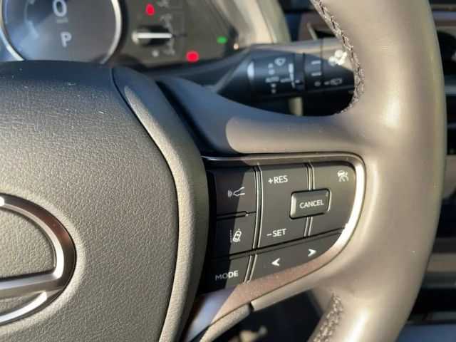 Lexus UX 250h Style Edition