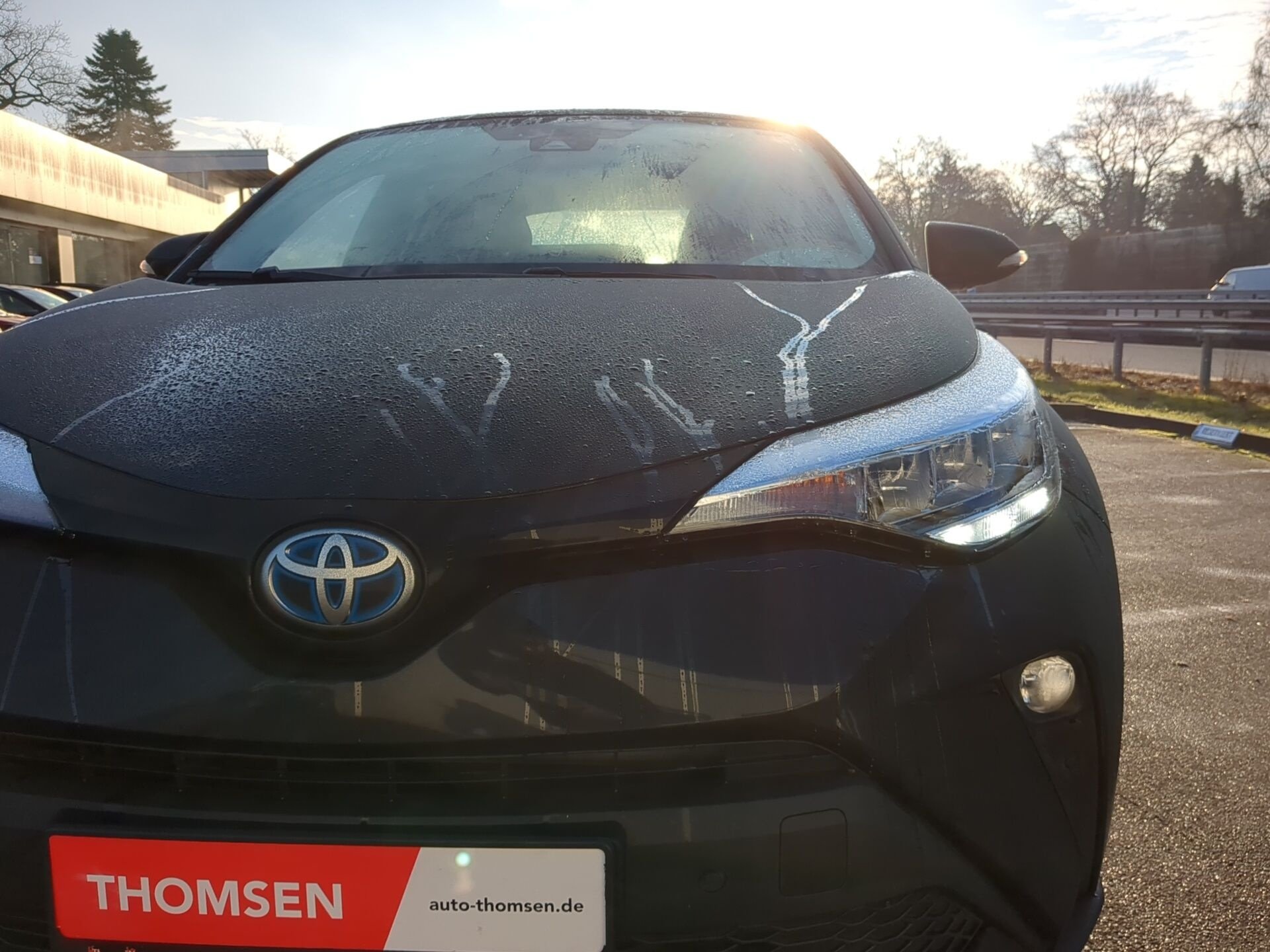 Toyota C-HR 5-deurs Basis