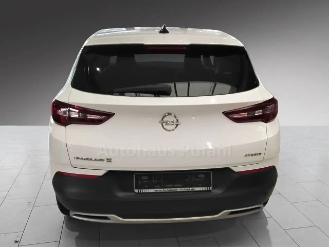 Opel Grandland X Grandland Wenig KM, super gepflegt
