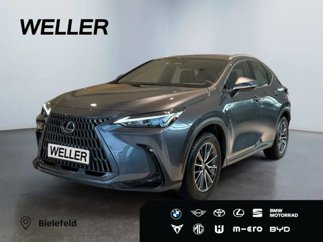 Lexus NX *Bi-LED*ACC*CAM*Navi*CarPlay*Soundsystem*
