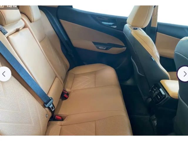 Lexus NX Executive Line