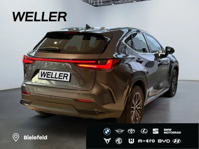 Lexus NX *Bi-LED*ACC*CAM*Navi*CarPlay*Soundsystem*