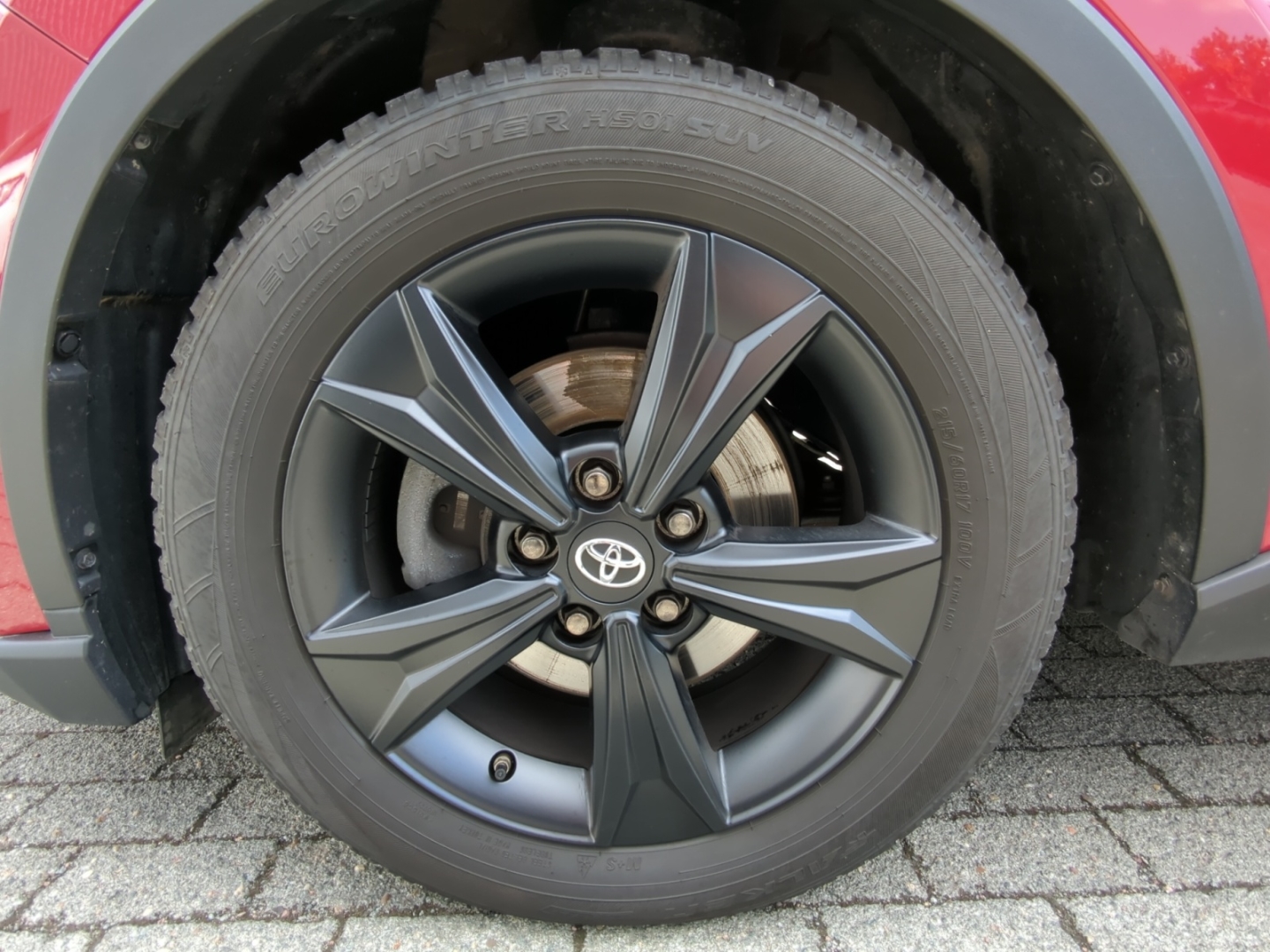 Toyota C-HR 5-deurs Bi-Tone Team D