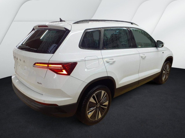 Skoda Karoq 2.0 TDI 4x4 Tour