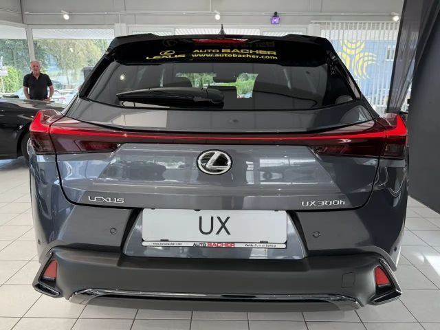 Lexus UX F Sport Sport