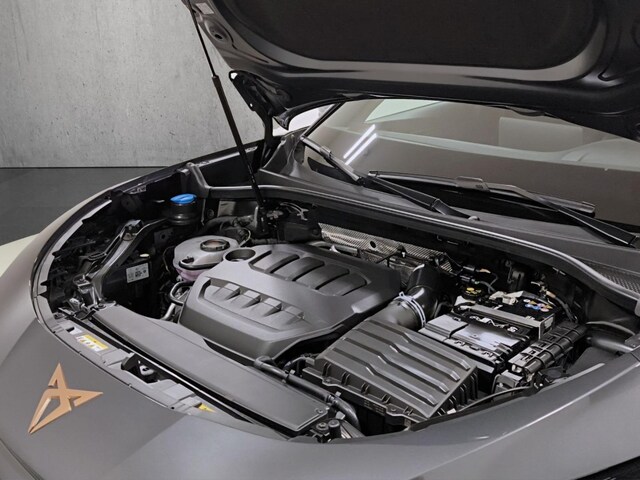 Cupra Terramar 2.0 TSI