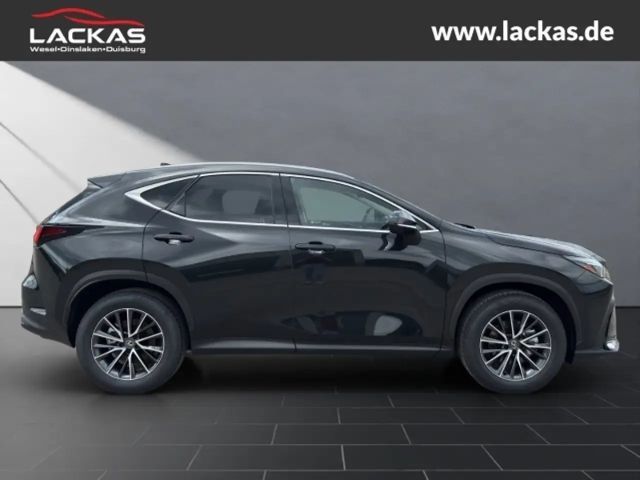 Lexus NX h BUSINESS*CONNECT-MY25* MEMORY*360KAM*GARANTIE