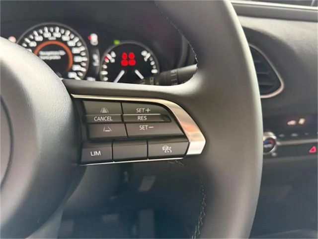 Mazda CX-30 e-Skyactive G140 Nagisa *ab €29.290*