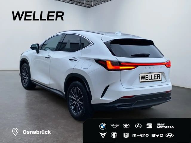 Lexus NX Executive Line