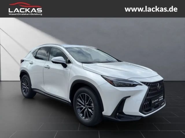 Lexus NX Executive Line