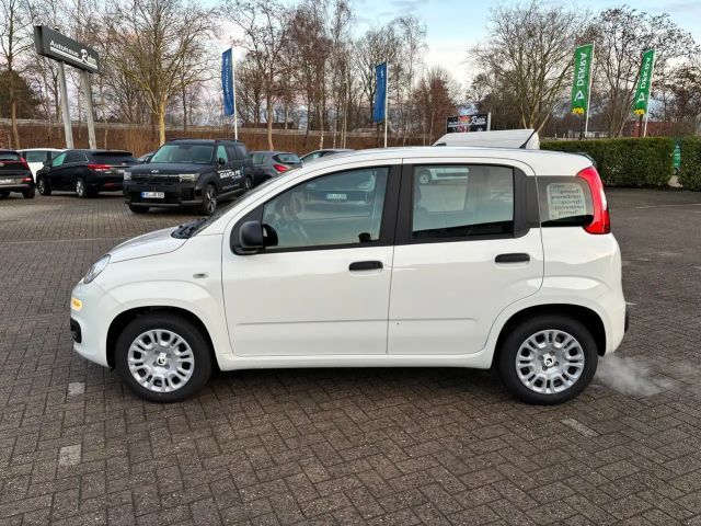 Fiat Panda Panda 1.0 GSE Mild-Hybrid | Klima | Tagfahrlicht