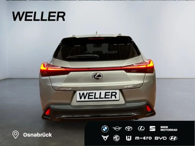 Lexus UX 250h F Sport Sport