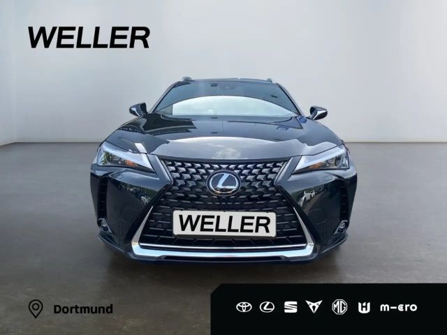Lexus UX Executive Line