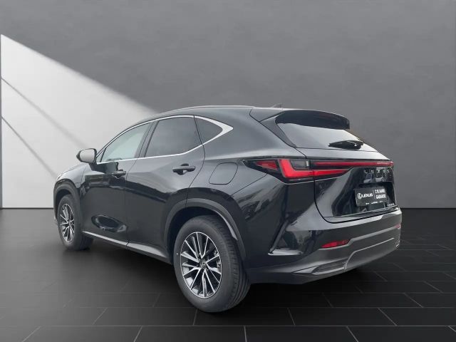 Lexus NX Executive Line