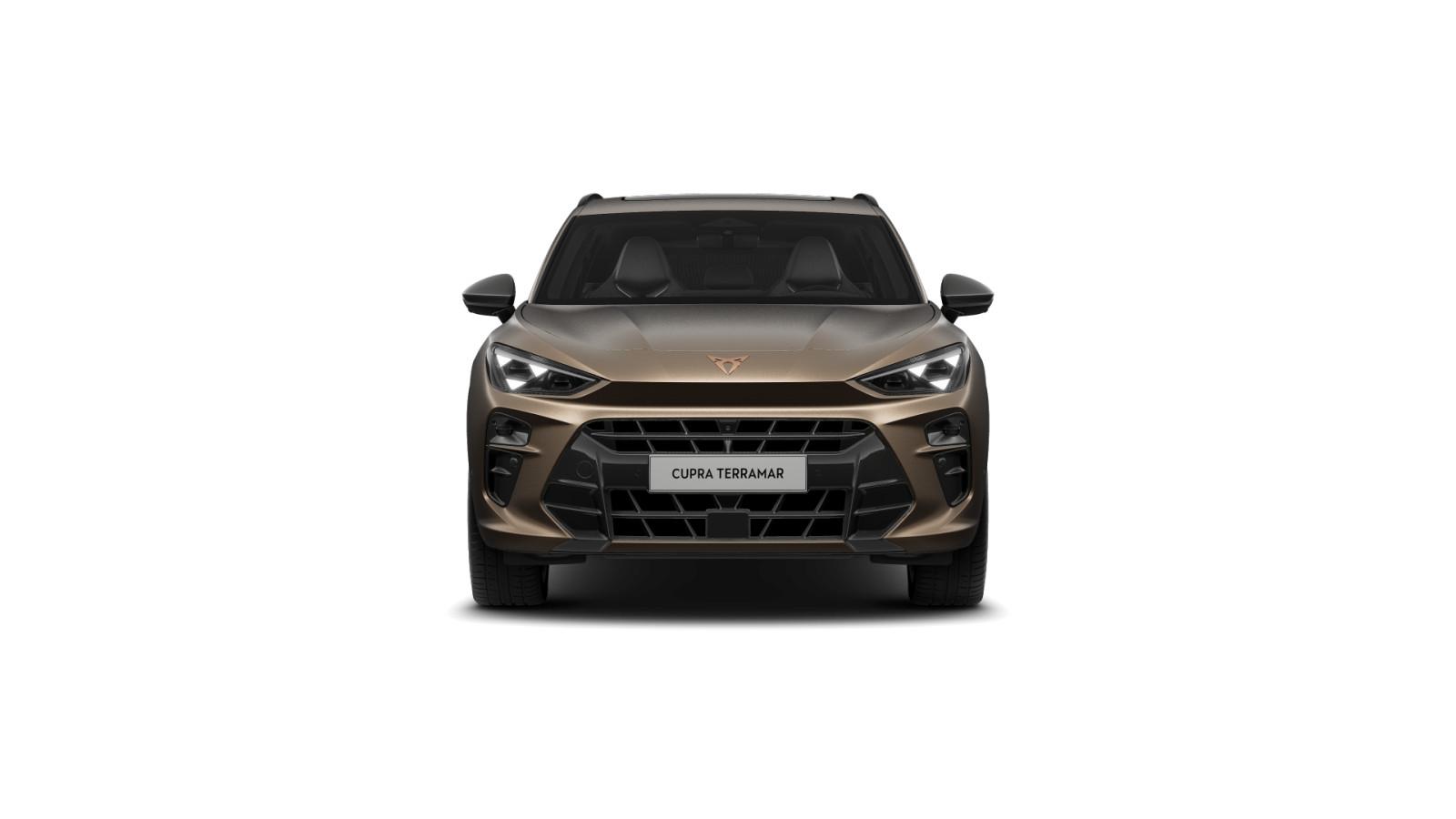 Cupra Terramar 2.0 TSI VZ