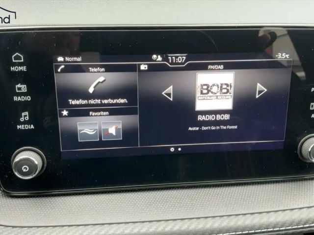 Skoda Fabia Monte Carlo iV