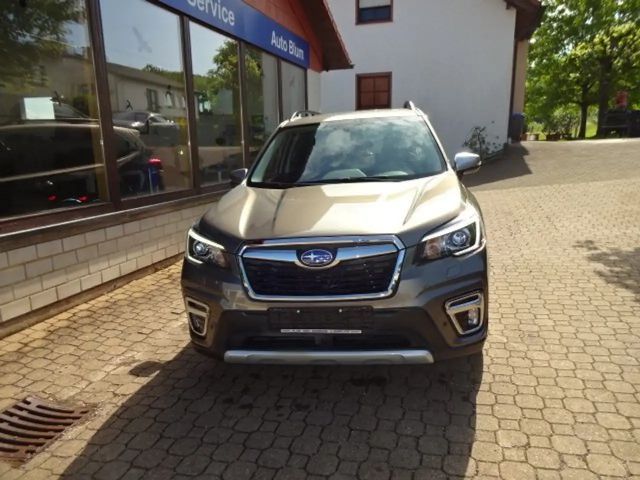 Subaru Forester Lineartronic Edition