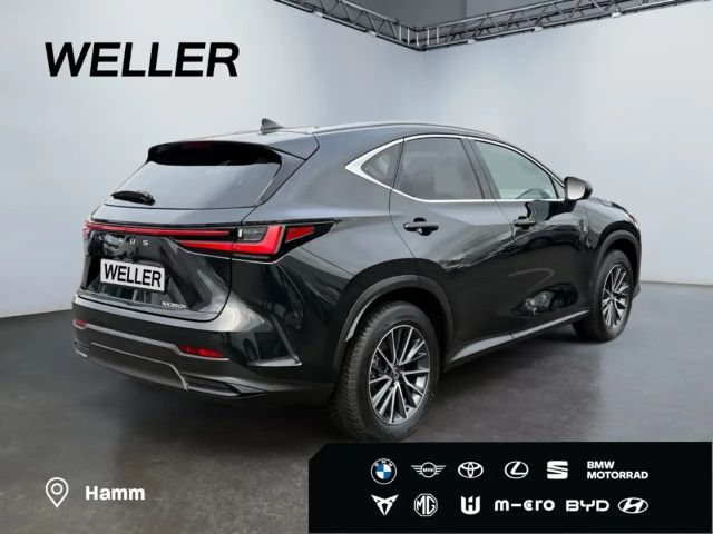 Lexus NX Executive Line