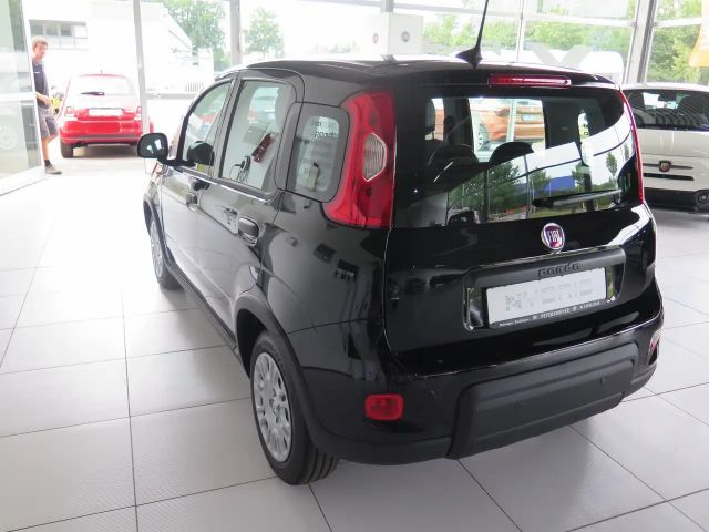 Fiat Panda Pandina
