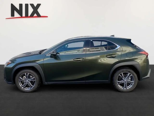 Lexus UX 250h Executive Line