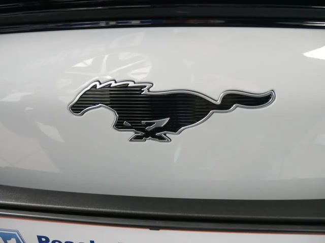 Ford Mustang Mach-E AWD