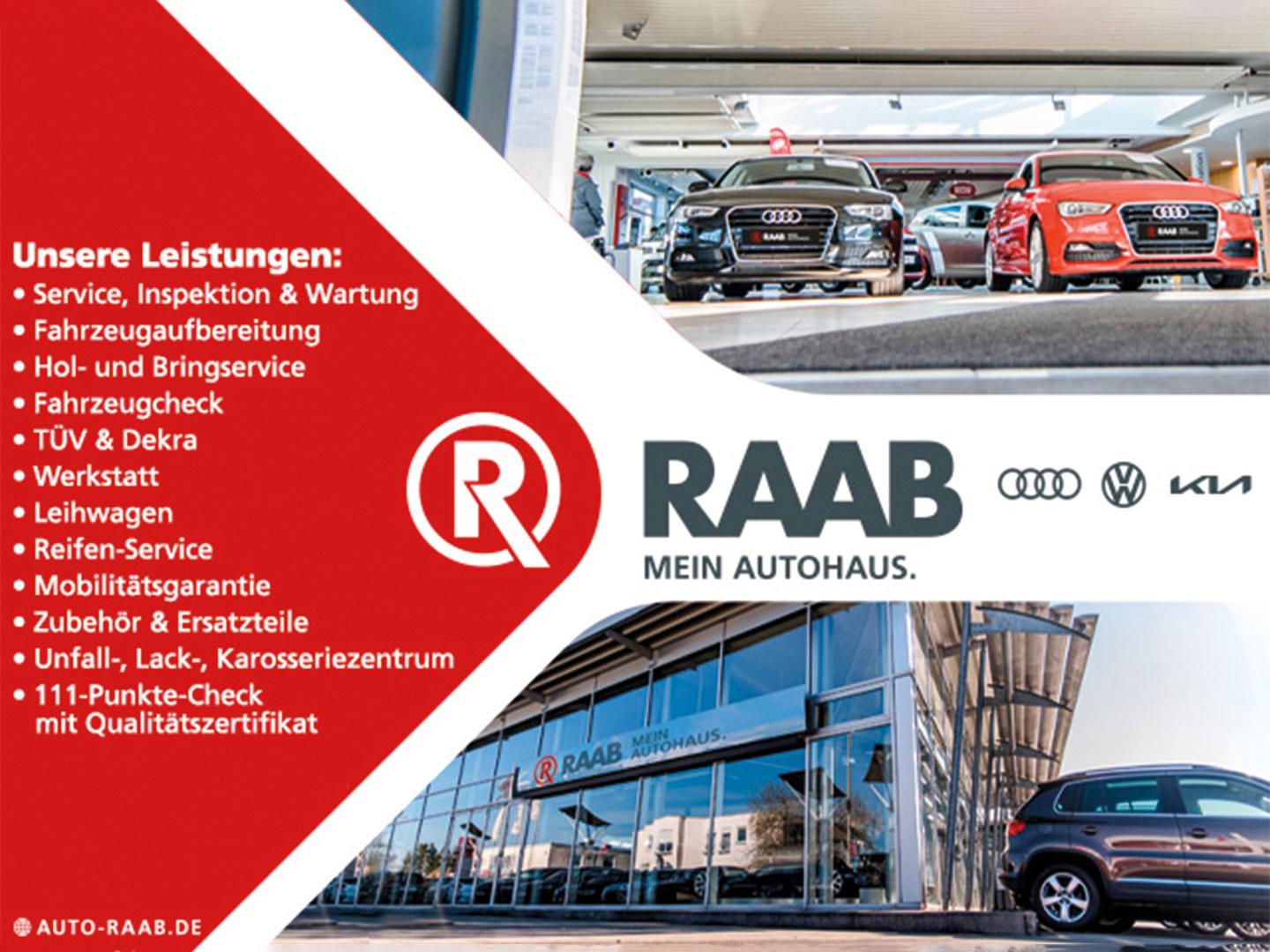 Volkswagen Golf 2.0 TSI GTI Golf VIII