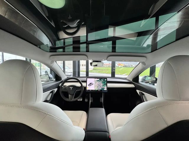 Tesla Model 3 Performance