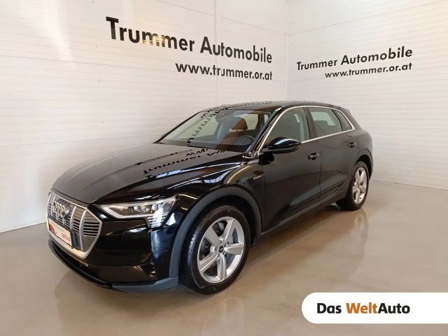 Audi e-tron 55 Business Quattro