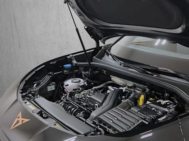 Cupra Terramar 1.5 TSI