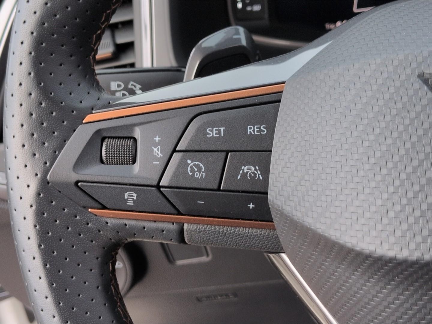 Cupra Ateca 4Dr. 300PS*360°Ka ACC LED Schalensitze 19*