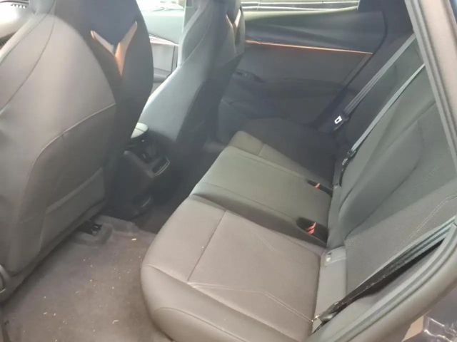 Cupra Tavascan Endurance