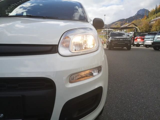 Fiat Panda Panda Mild Hybrid