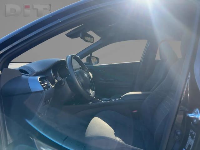 Toyota C-HR Team D