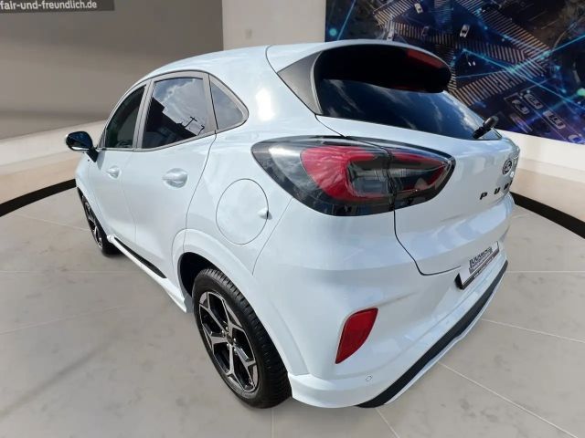 Ford Puma Winter-Paket + Ganzjahresreifen