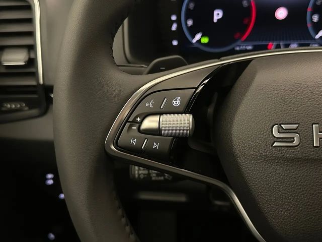 Skoda Karoq ACT Selection