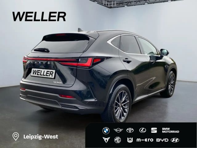 Lexus NX Executive Line