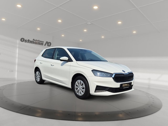 Skoda Fabia FABIA 48kw *LED*SmartLink*SHZ*PDC*Freisprechein.