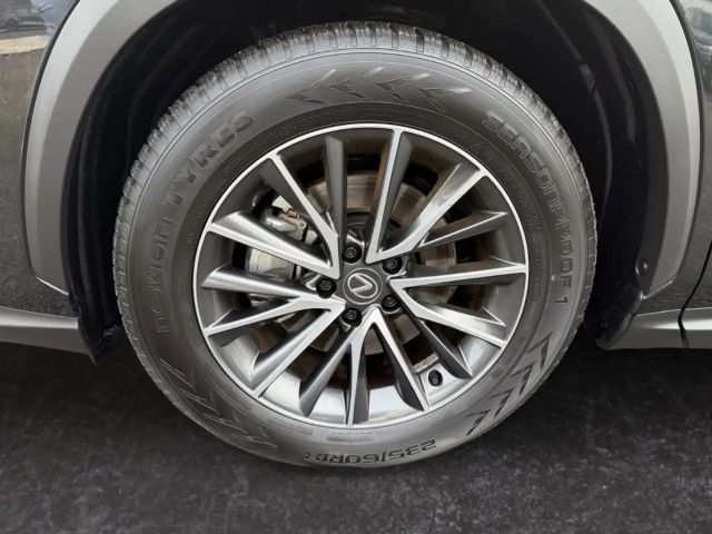 Lexus NX Executive Line