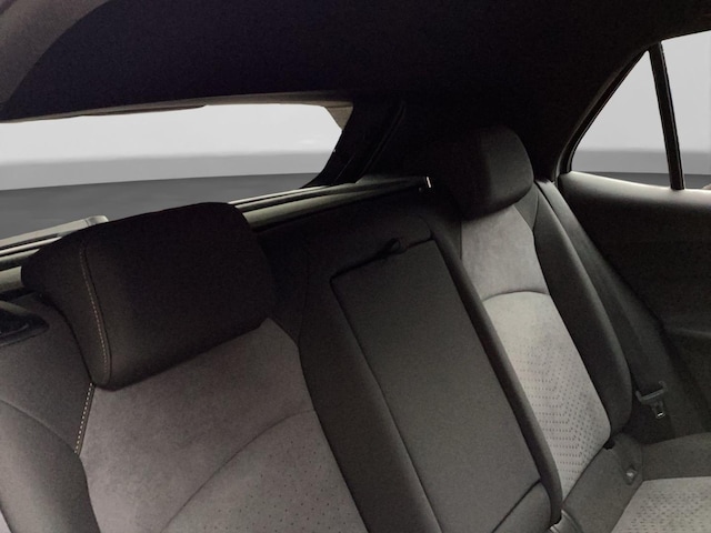 Cupra Born Born 360 ALLWETTER LM19 PRIVACY SITZHZ